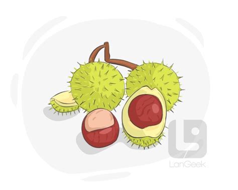 chestnut traduction|chestnut en francais.